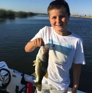 Meet your Posher, Barry